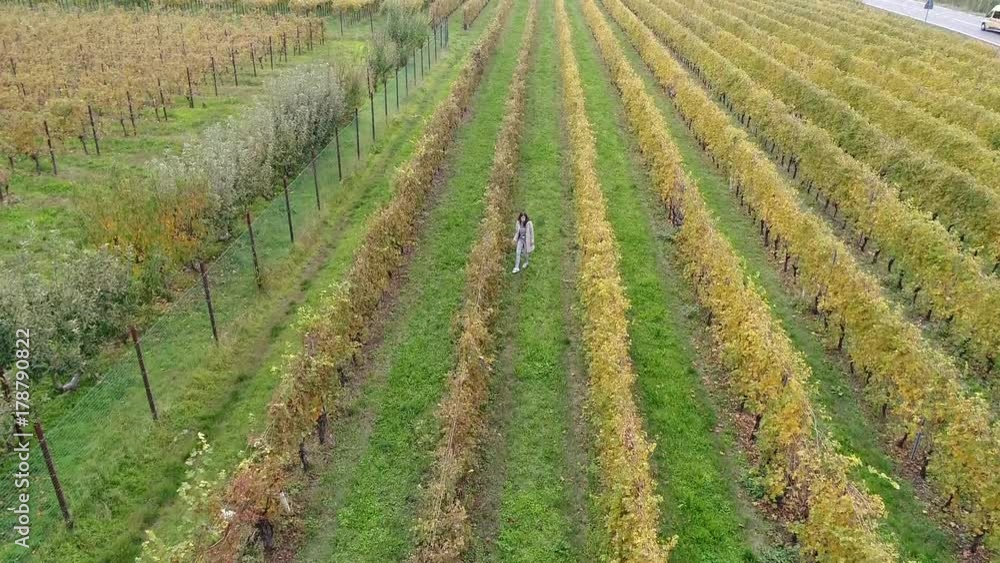 Aerial video of a girl running in a beautiful vineyard. Nature, freedom and autumn concepts. Video shot with a drone. Aerial video of a girl running in a beautiful vineyard. Nature, freedom and autumn concepts. Video shot with a drone.