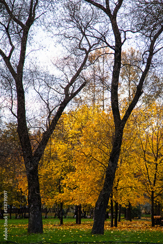 City Park in autumn.