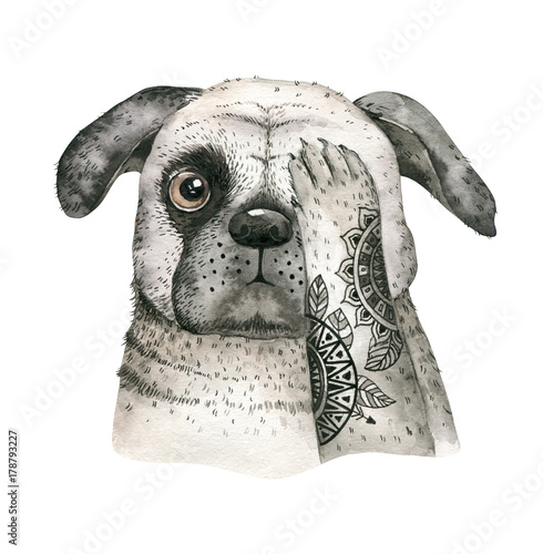 Naklejka na ścianę Akwareli zbliżenia portret śliczny pies. Pojedynczo na białym tle. . Ręcznie rysowane słodkie zwierzę domowe. Kartkę z życzeniami zwierząt pielęgniarski projekt dekoracji