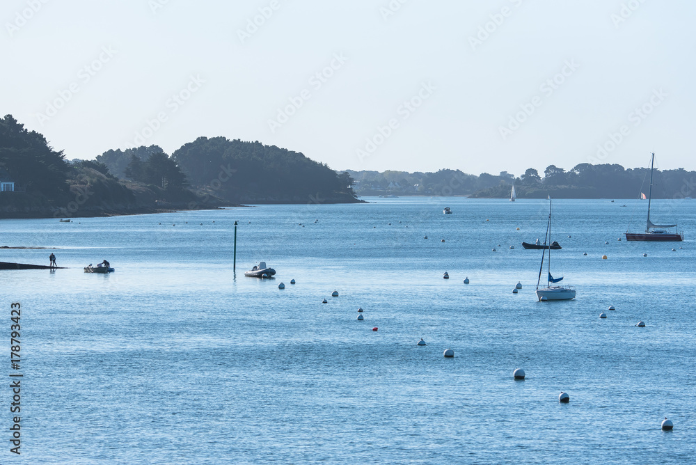 Beautiful panorama of the Ile-aux-Moines in Morbihan gulf, view off season
