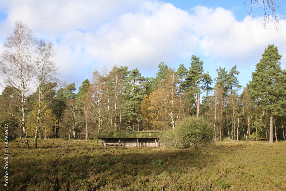 Ein Bienenheim am Waldrand Ein Bienenheim am Waldrand