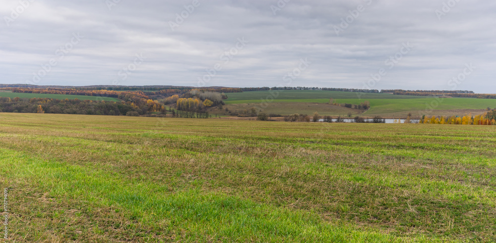 Autumnal panoramic landscape with harvested cereals field in Sumskaya oblast, Ukraine