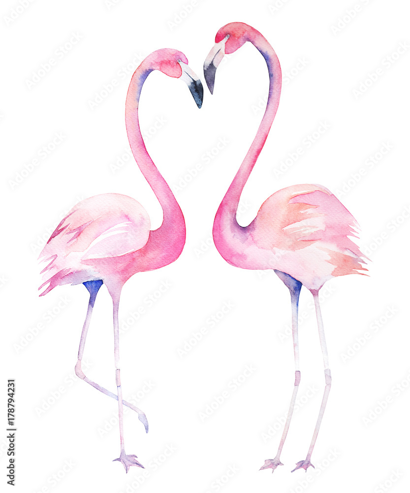 Obraz premium Valentines akwarela flamingi. Ilustracja na białym tle wyciągnąć rękę. Para ptaków