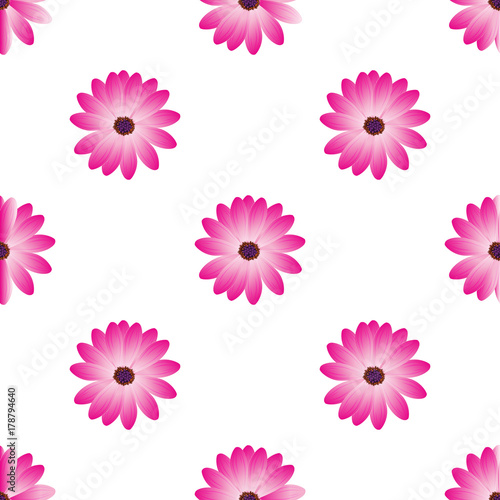 Seamless Pattern with Dahila Blossom Isolated