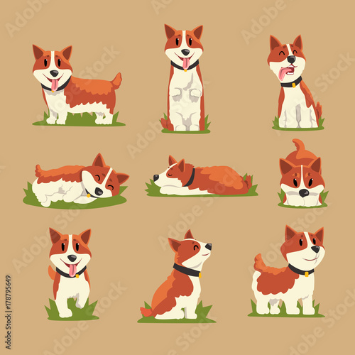 Set of cartoon red-haired corgi dogs