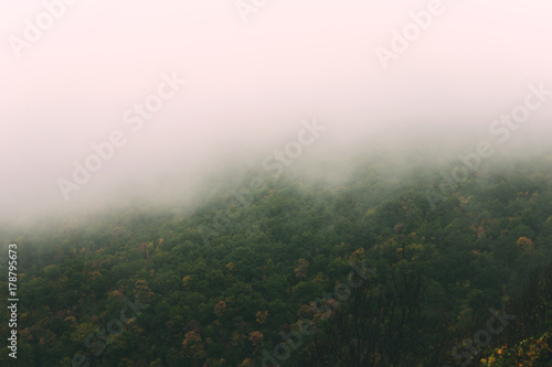 View of foggy mountains with trees