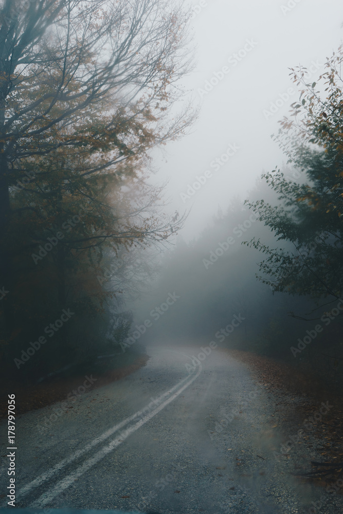 Obraz premium Autumn landscape, foggy road in forest