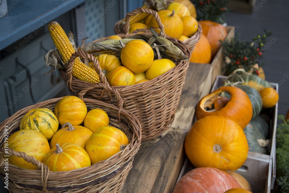 Pumpkins and corn in baskets seasonal Halloween decor