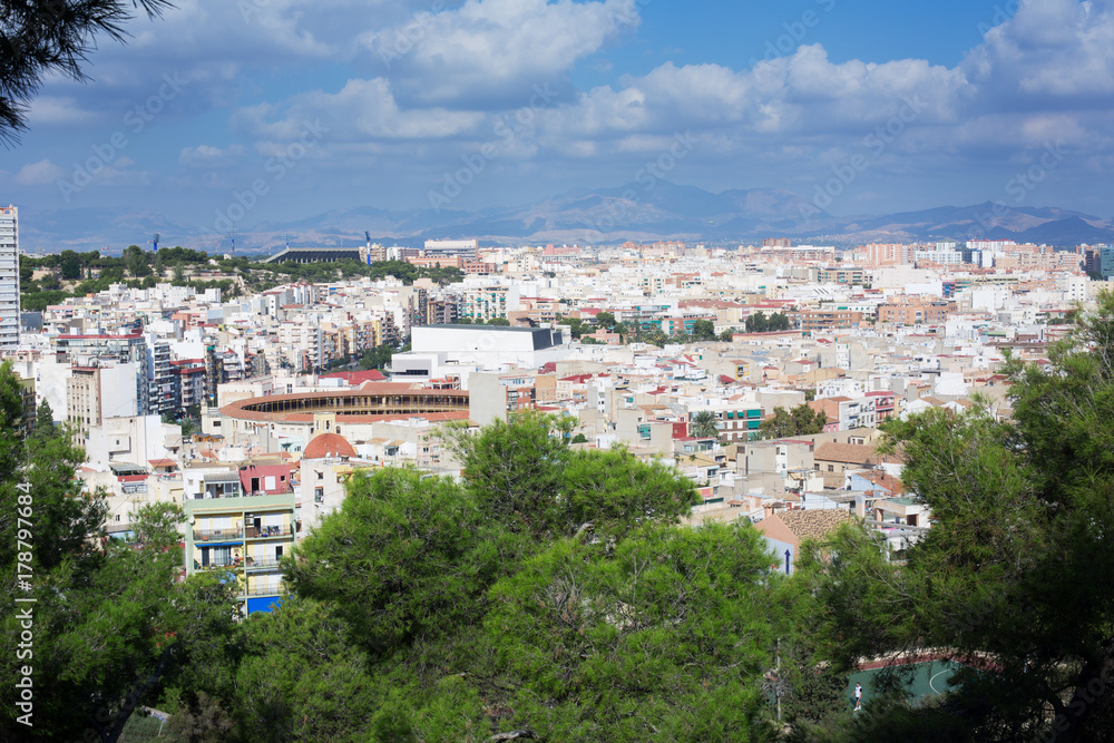 Fototapeta premium View on Alicante, Spain. Trees in the foreground