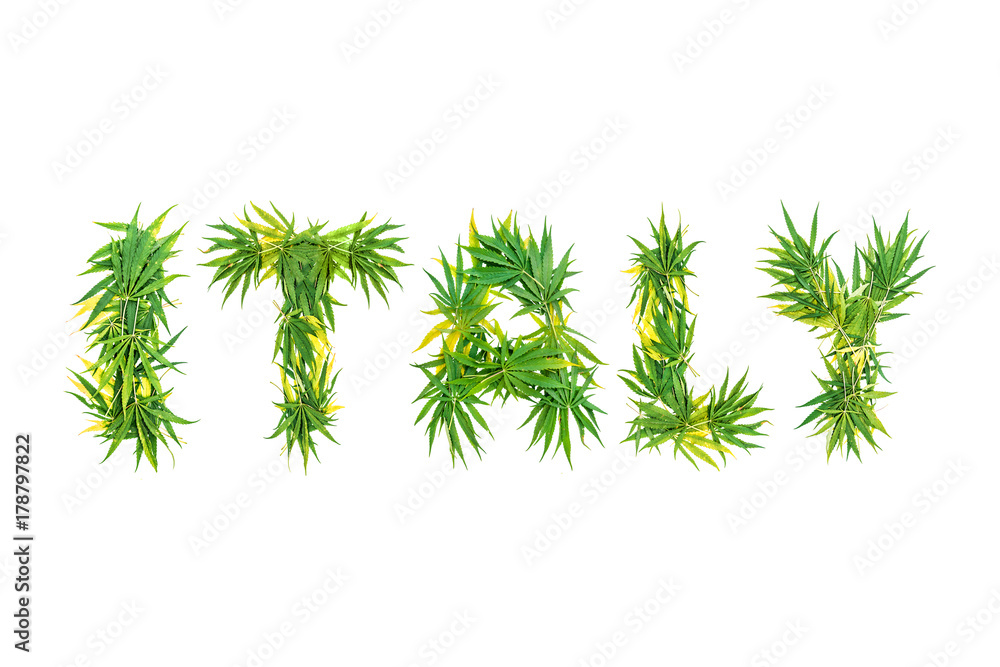 Fototapeta premium Word Italy made from green cannabis leaves on a white background. Isolated