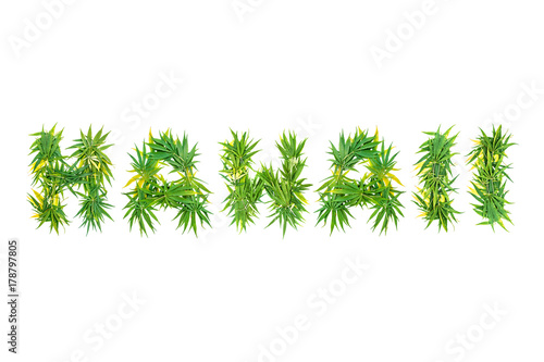 Word Hawaii made from green cannabis leaves on a white background. Isolated