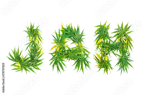 Word JAH made from green cannabis leaves on a white background. Isolated