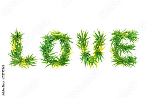 Word LOVE made from green cannabis leaves on a white background. Isolated