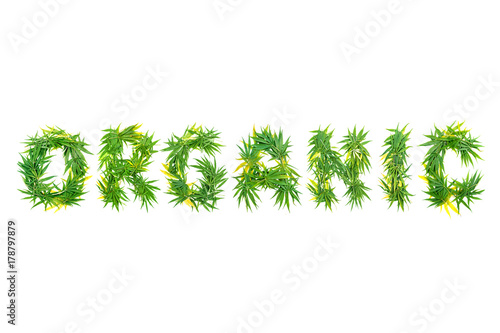Word ORGANIC made from green cannabis leaves on a white background. Isolated