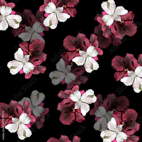 Fototapeta Naklejka Na Ścianę i Meble -  Beautiful floral background of Pelargonium and alstroemeria 