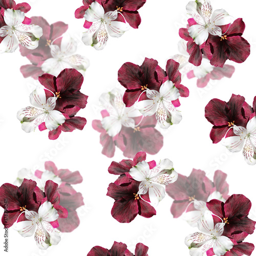 Fototapeta Naklejka Na Ścianę i Meble -  Beautiful floral background of Pelargonium and alstroemeria 