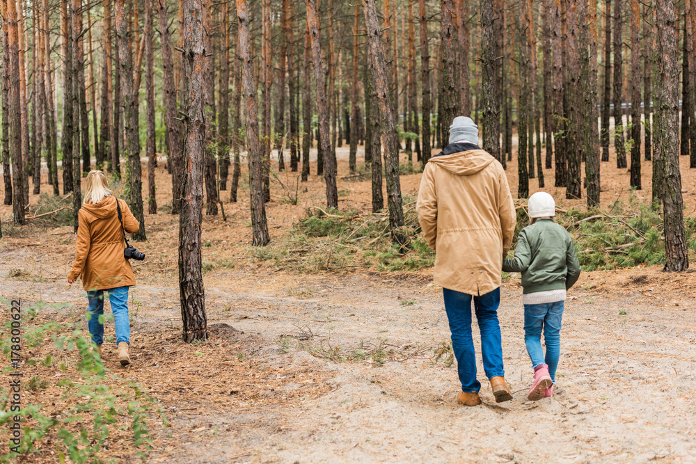 Fototapeta premium family walking by forest