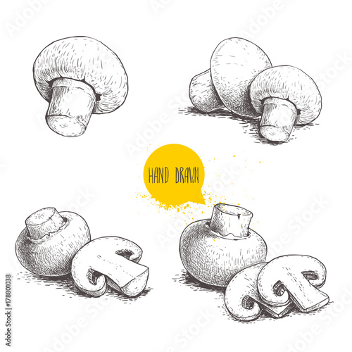 Hand drawn sketch style champignon mushroom composition set. Whole and slice cuts. Vector farm fresh food collection  isolated on white background.
