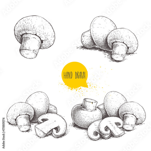Hand drawn sketch style champignon mushroom composition set. Whole and slice cuts. Vector farm fresh food collection  isolated on white background.