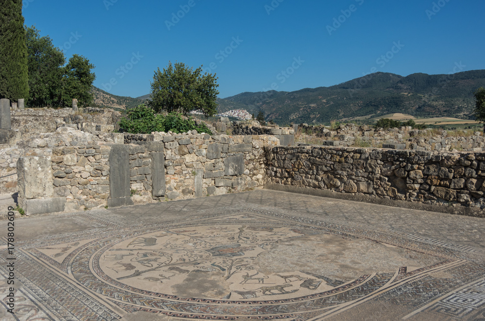 Mosaic floor, Volubilis ruins, the excavations of the roman city in the archaeological site Volubilis, North Morocco.
