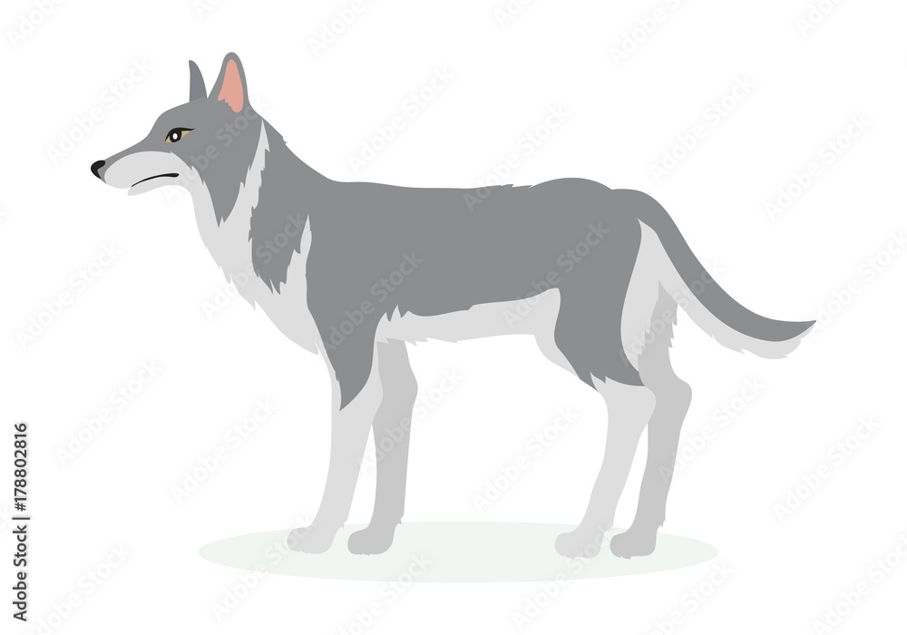 Wolf Cartoon Vector Illustration in Flat Design Wolf Cartoon Vector Illustration in Flat Design