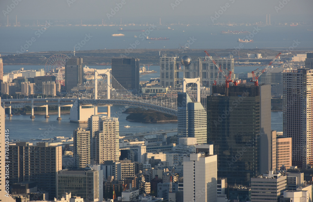 Obraz premium 日本の東京都市景観「東京湾や“お台場”方面を望む」