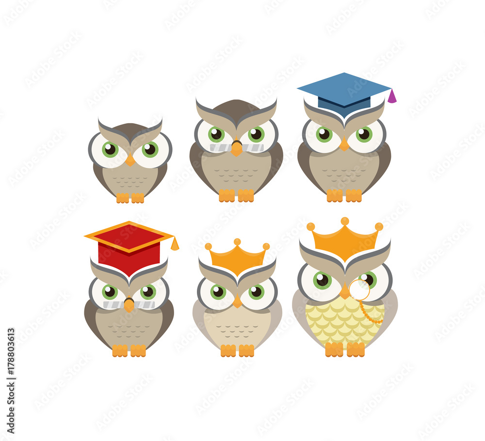 Cartoon owl character collection. Vector illustration.