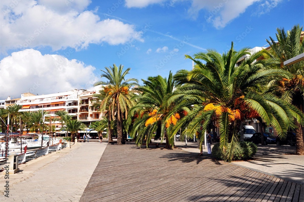 Fototapeta premium Hafen von Alcudia