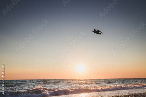 Beautiful sunset on the summer sea © Viktoriya09