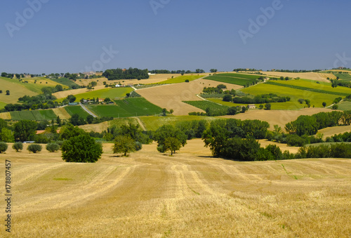 Summer landscape in Marches  Italy  near Appignano