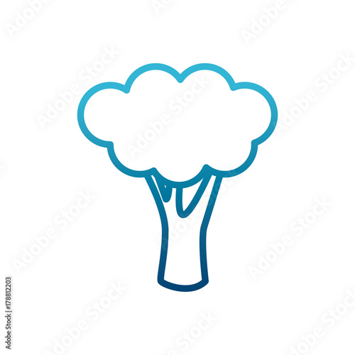 Broccoli fresh vegetable icon vector illustration graphic design