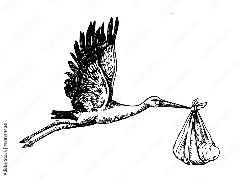 Obraz premium Bocian nosić dziecko grawerowanie ilustracji wektorowych
