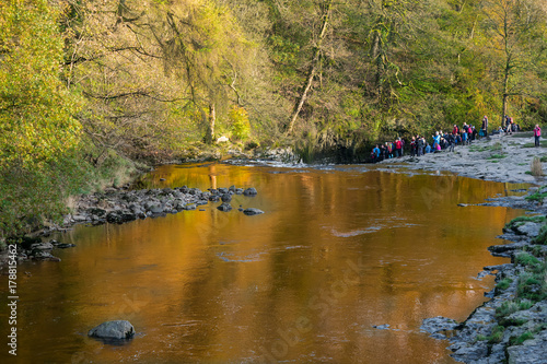 Ribble at Stainforth Force, North Yorkshire photo