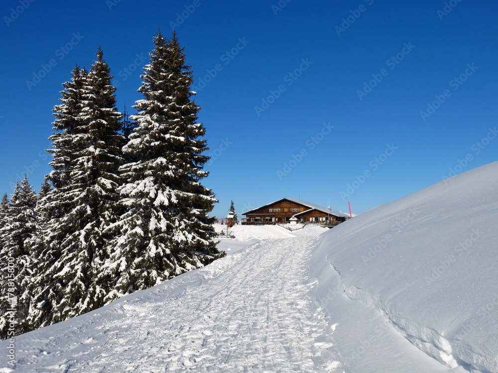 Winter landscape in Gstaad. Firs and timber chalet. Summit of mount Wispile. Winter landscape in Gstaad. Firs and timber chalet. Summit of mount Wispile.