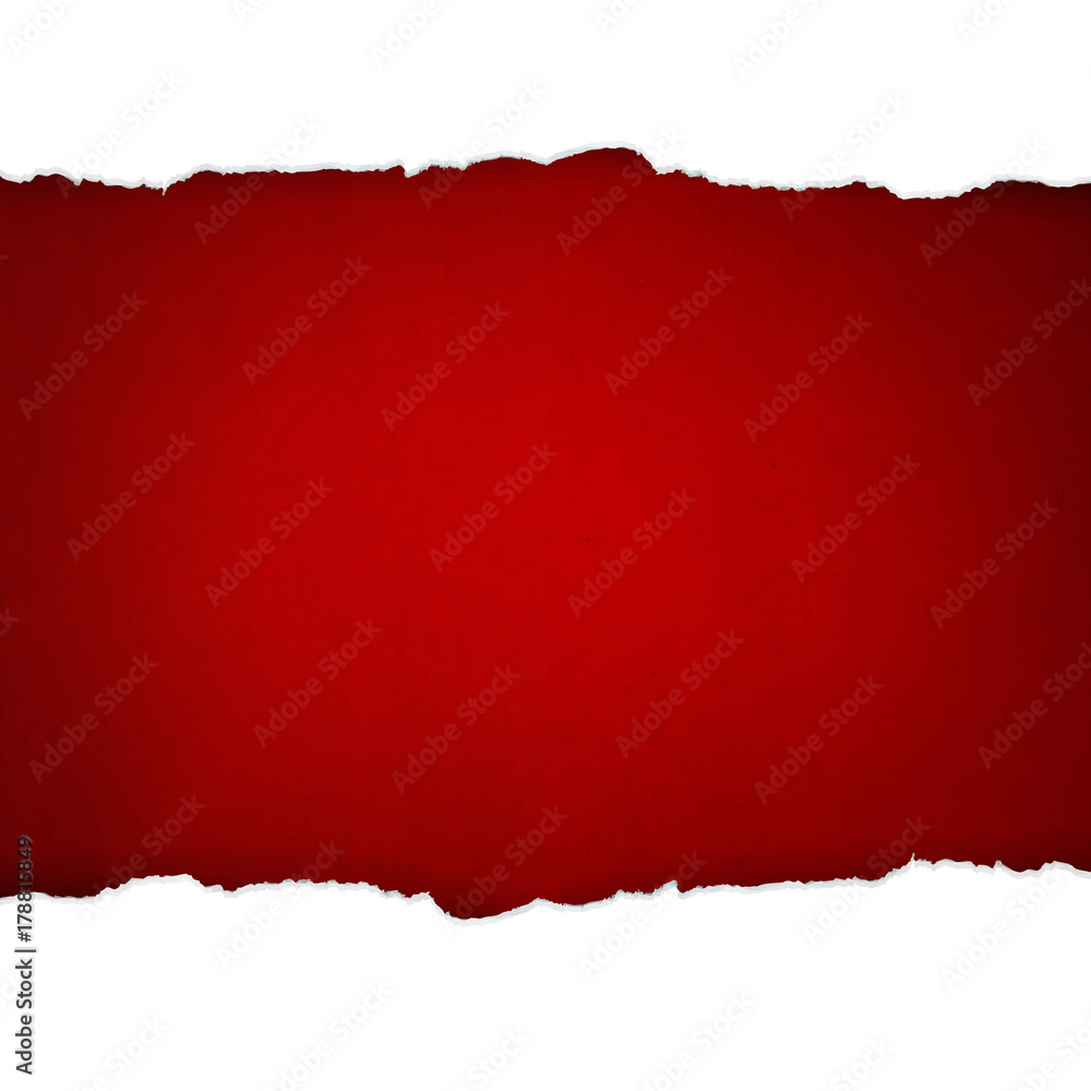 White Ripped Paper White Ripped Paper
