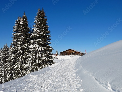 Winter landscape in Gstaad. Firs and timber chalet. Summit of mount Wispile. © u.perreten