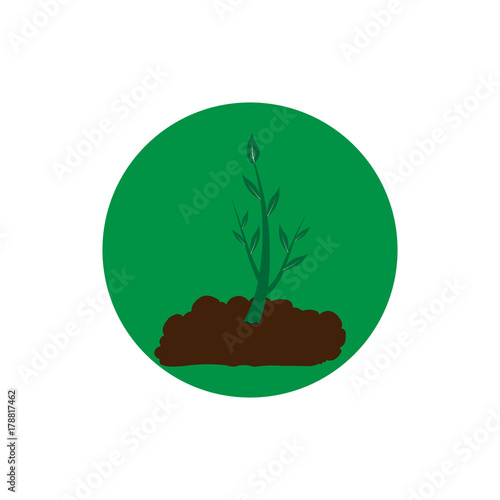 Plant sprout round icon vector © Federico