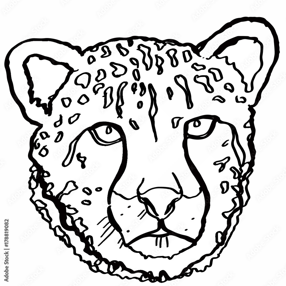 How to draw Cheetah face head pencil drawing step by step - YouTube