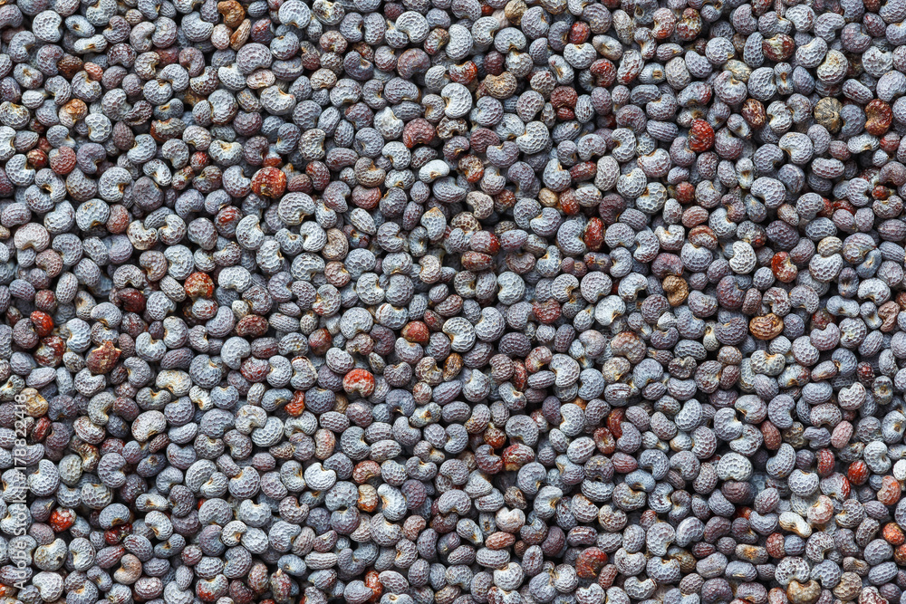 abstract background of poppy seeds abstract background of poppy seeds