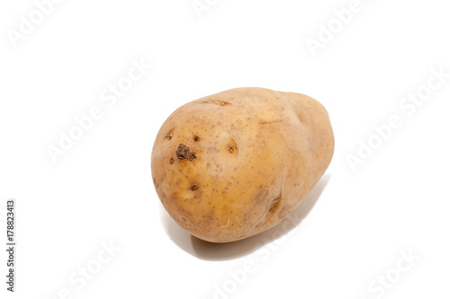 potato isolated on white background