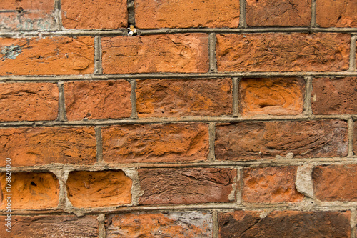Old red bricks texture