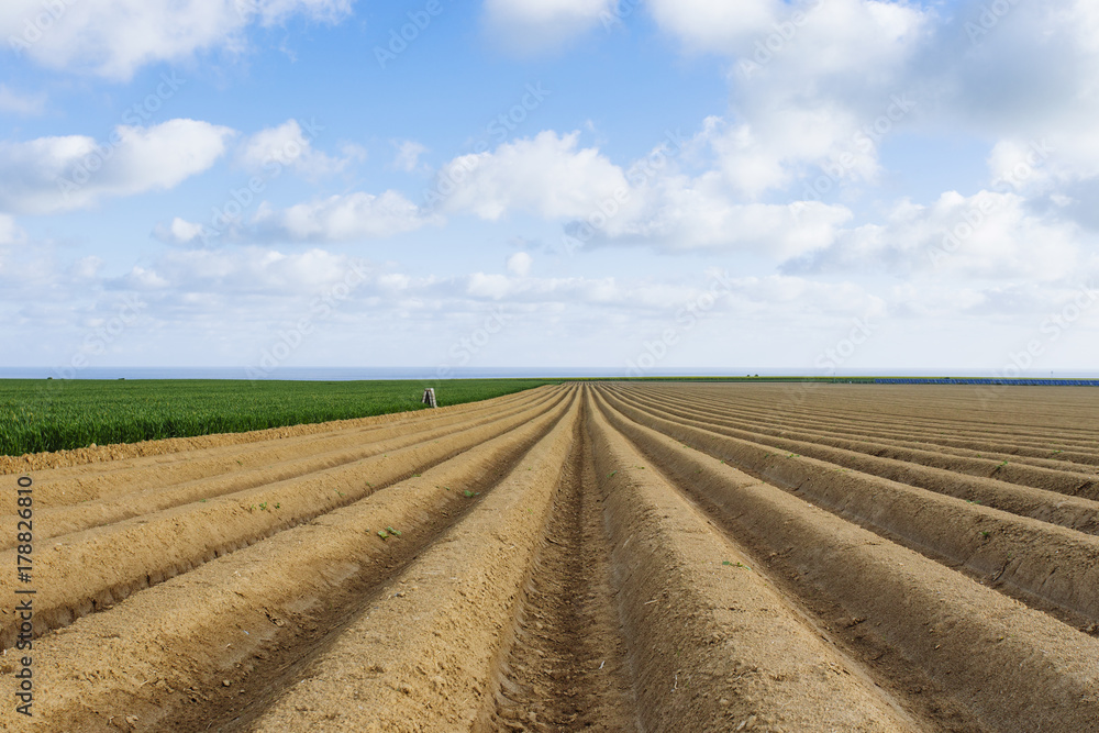 Plowed agricultural fields prepared for planting crops in Normandy, France. Countryside landscape with cloudy sky, farmlands in spring. Environment friendly farming and industrial agriculture concept. Plowed agricultural fields prepared for planting crops in Normandy, France. Countryside landscape with cloudy sky, farmlands in spring. Environment friendly farming and industrial agriculture concept.