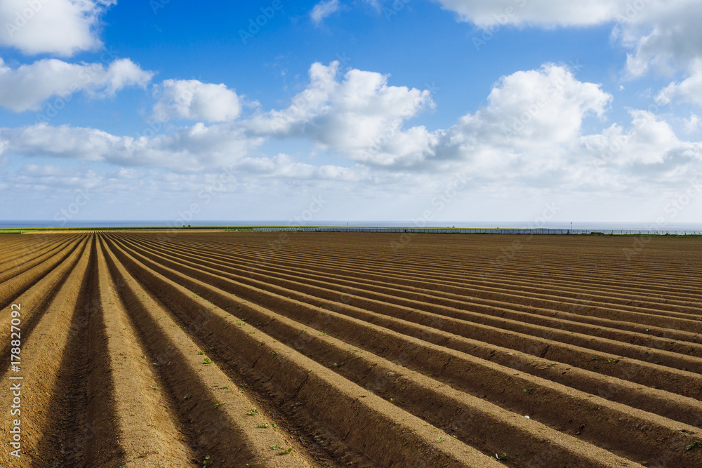 Plowed agricultural fields prepared for planting crops in Normandy, France. Countryside landscape, farmlands in spring. Environment friendly farming and industrial agriculture concept