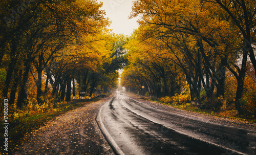 Autumn landscape with road and beautiful colored trees.
