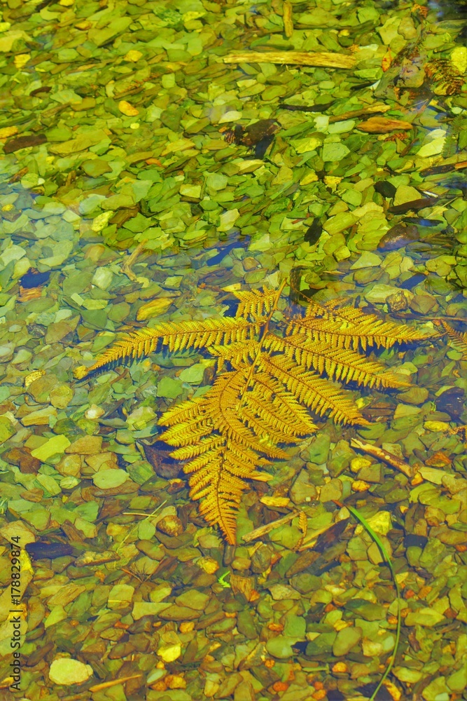 Obraz premium abstract