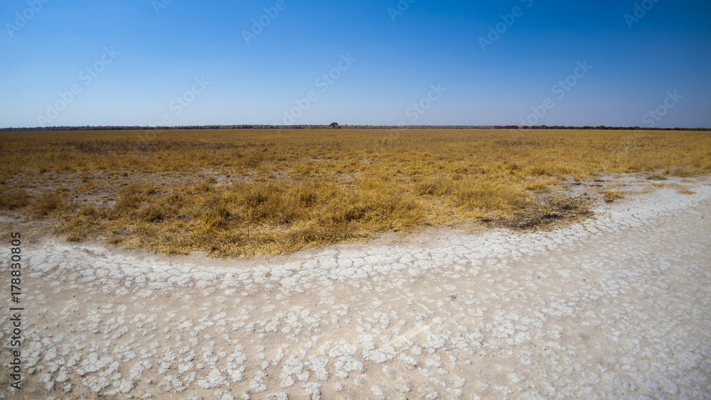 Deception Valley, Central Kalahari Game Reserve, Botswana