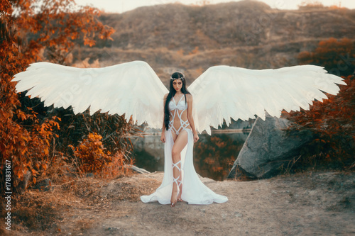 A beautiful white archangel descended from heaven. A girl in a sexy suit with huge white wings. Artistic Photography photo