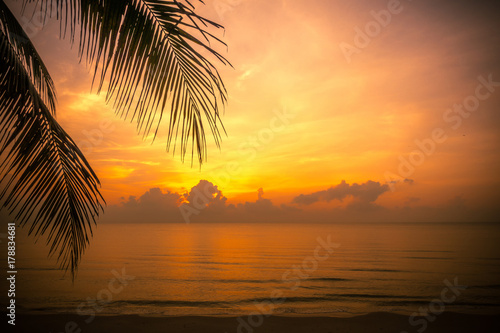 Golden sun set in tropical hot summer beach with palm leaf in foreground in thailand  golden special effect.