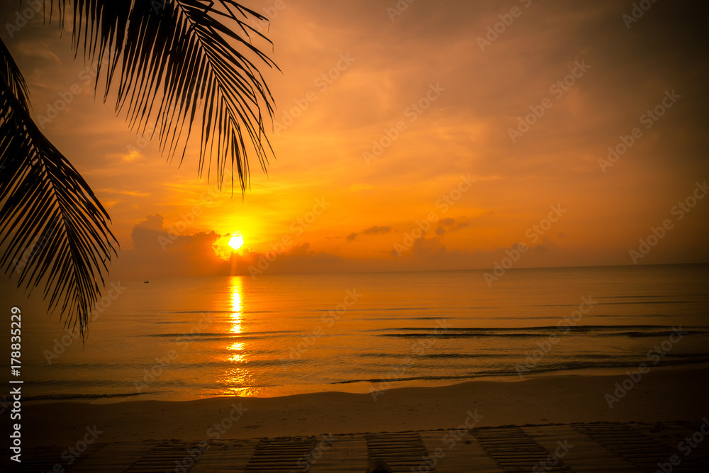 custom made wallpaper toronto digitalGolden sun set in tropical hot summer beach with palm leaf in foreground in thailand, golden special effect.
