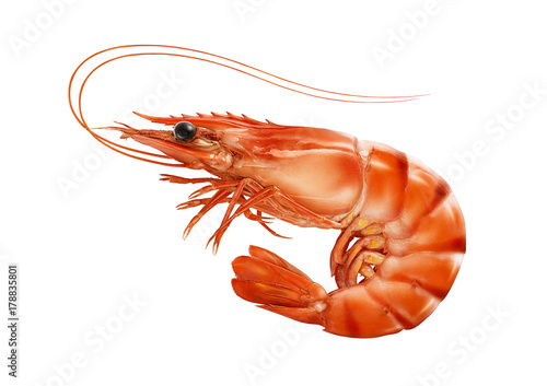 Red cooked prawn or tiger shrimp isolated on white background